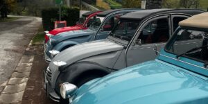 Drugi piknik susret ljubitelja 2cv spačeka iz Slovenije, Srbije i Hrvatske - pod nazivom "Honolulu bejbe"