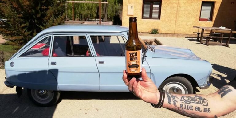 2cv piknik Sunja 2019